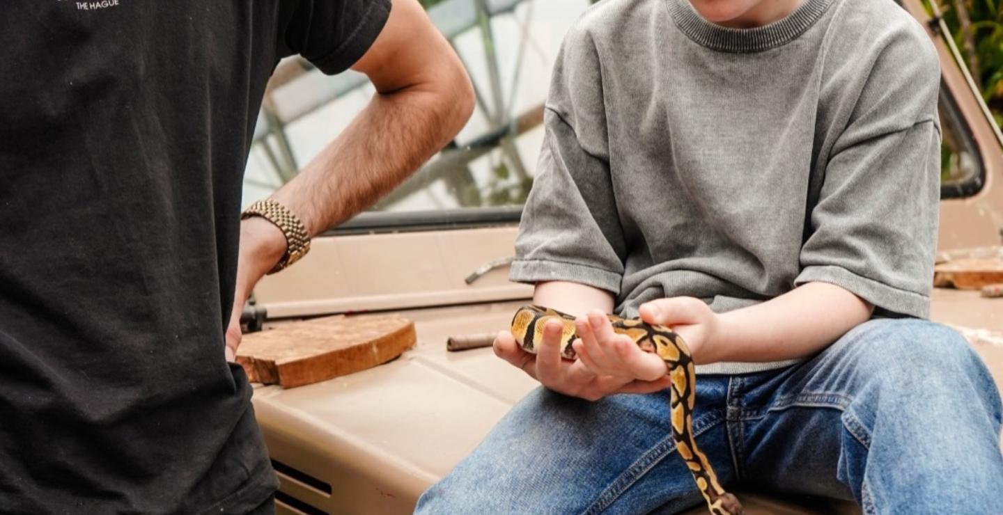 Boy holds yellow and black snake in Avonturia