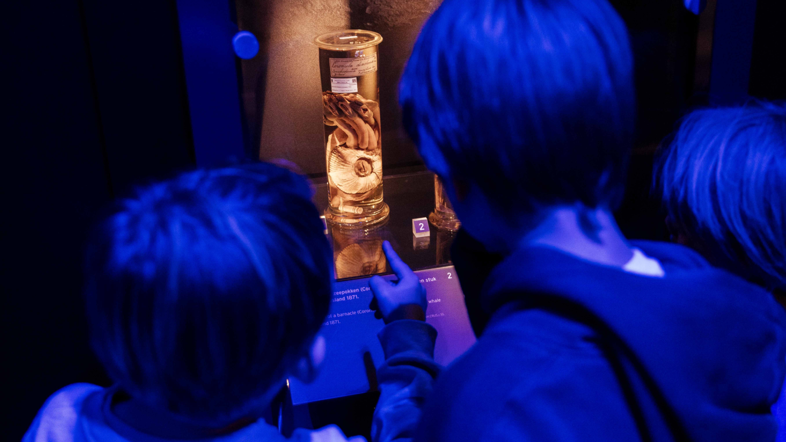 Drie kinderen ontdekken een pot met bewaarde zeepokken, onderdeel van de tentoonstelling over walvissen en walvisvaart.