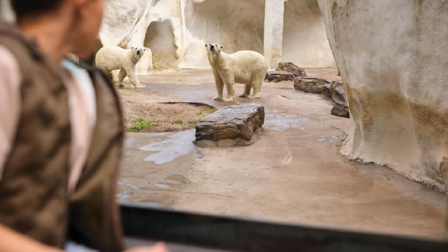 Ouwehands Dierenpark (6).jpg