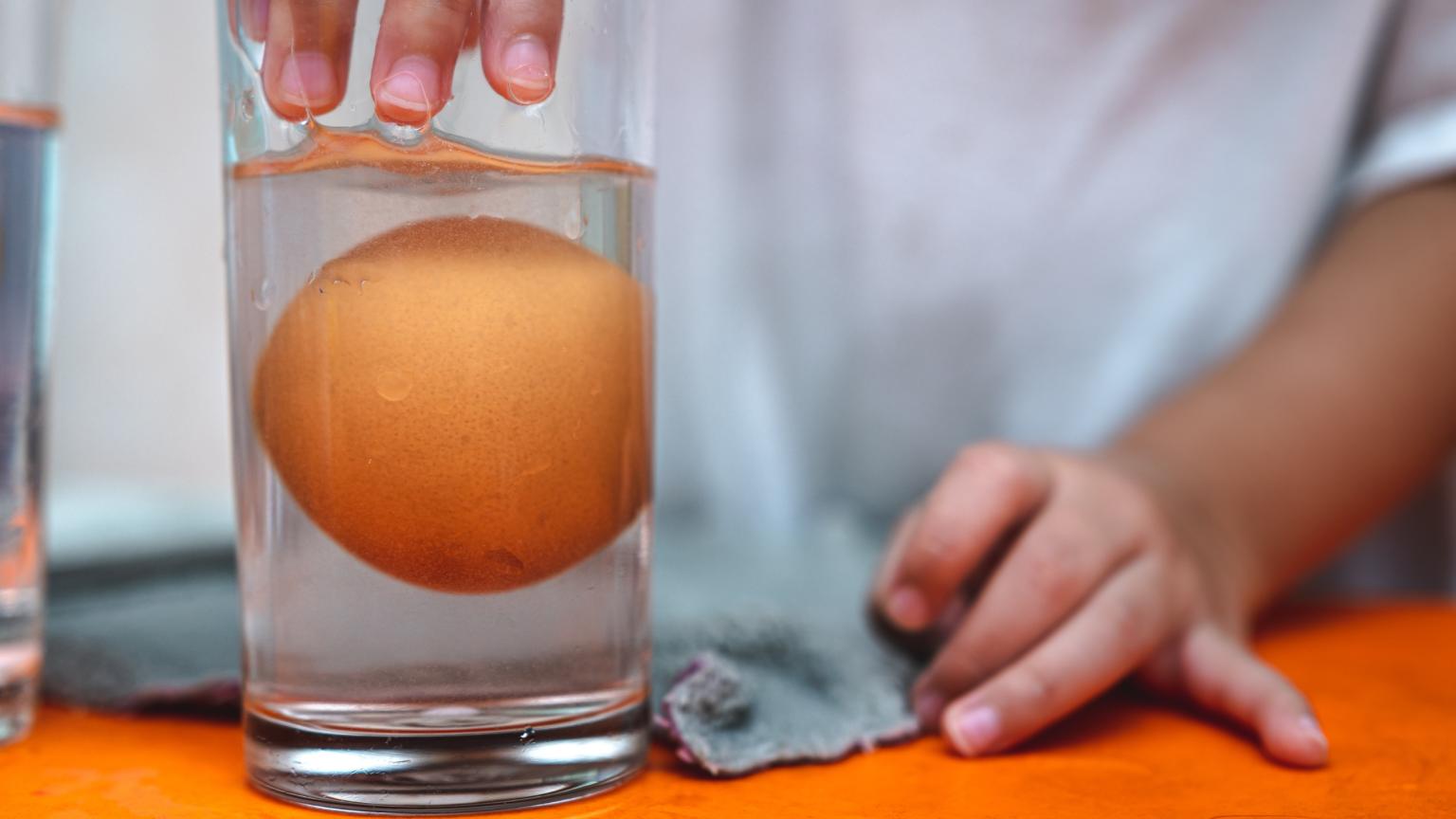 Kind onderzoekt een ei in een glas water tijdens een wetenschappelijk experiment in het Hemlab kinderlab.