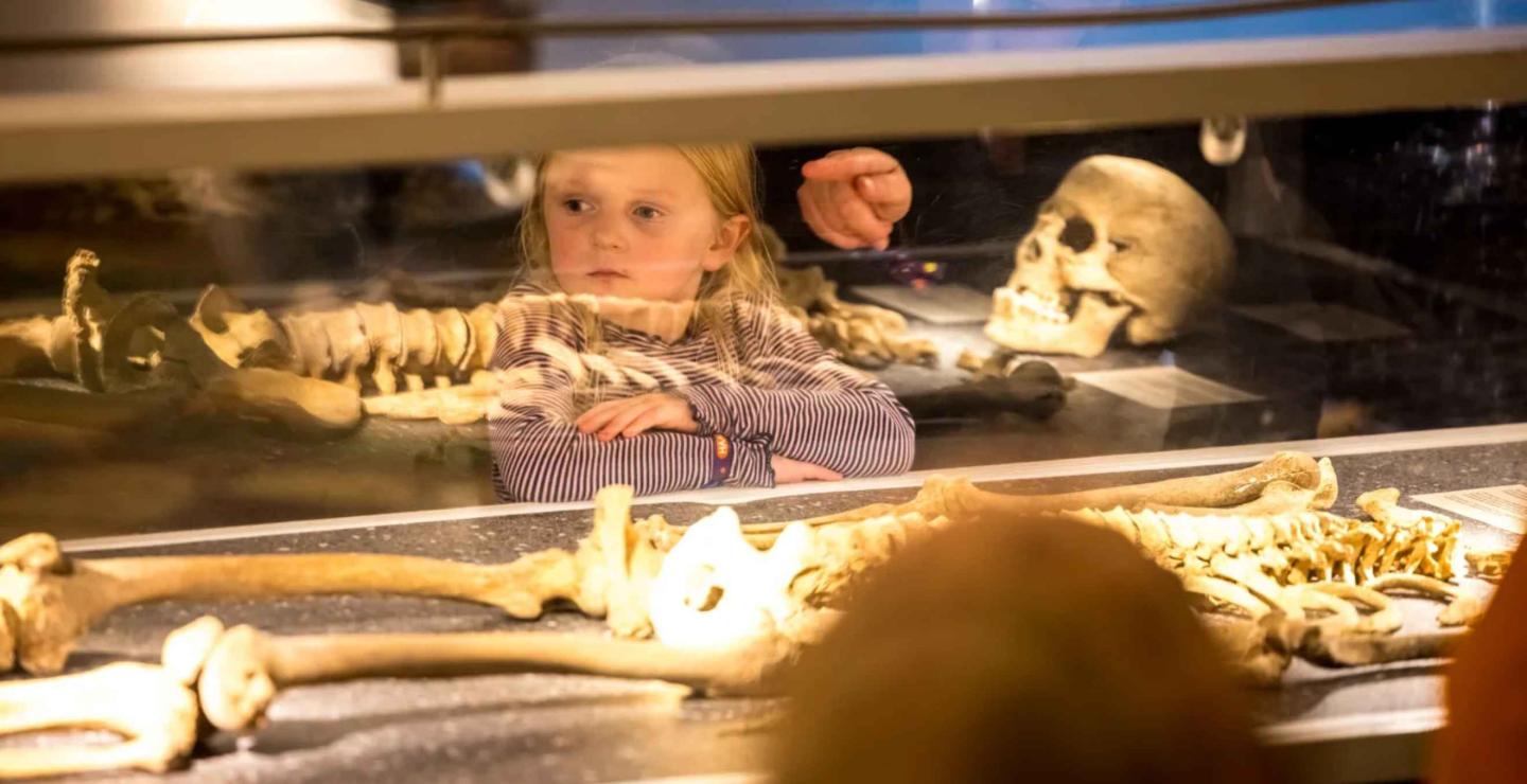 Kind bekijkt skeletten in een museumvitrine