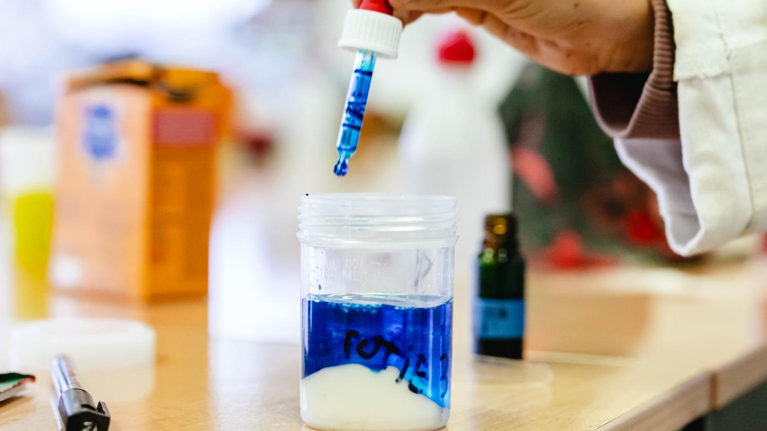 Wetenschapsmaterialen en proefjes op tafel tijdens een science workshop voor kinderen