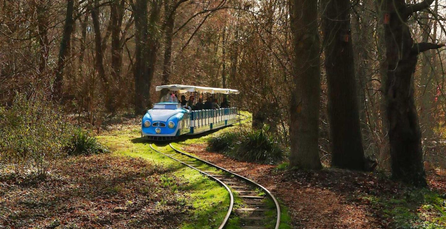 Het treintje door het park in het Amstelpark