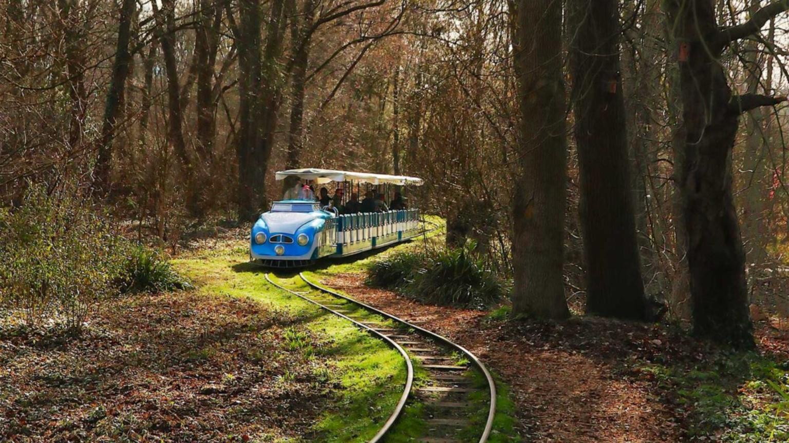 Het treintje door het park in het Amstelpark