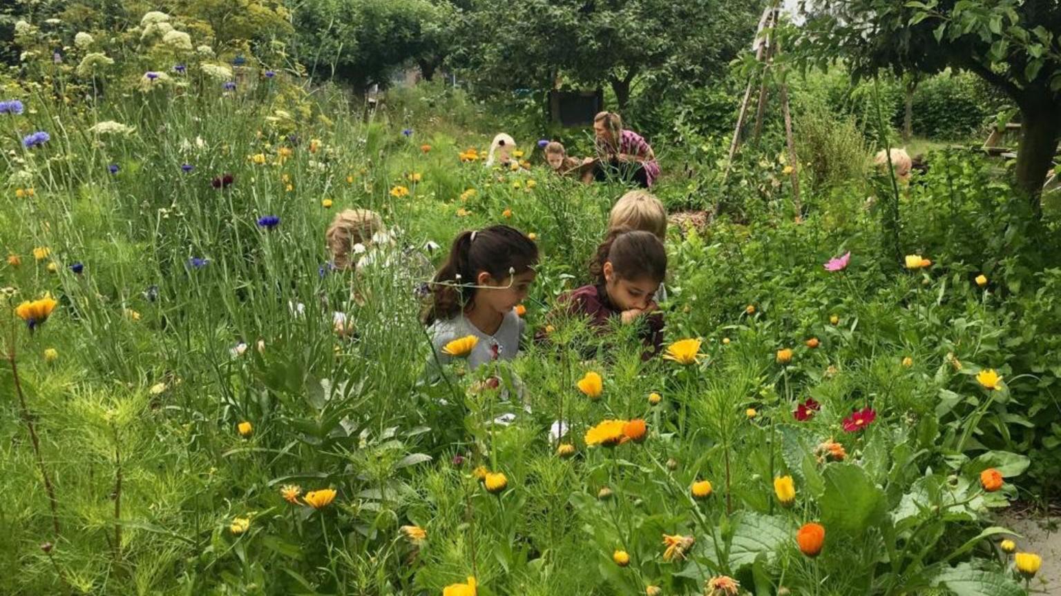 Jeugdland amsterdam (4).jpg