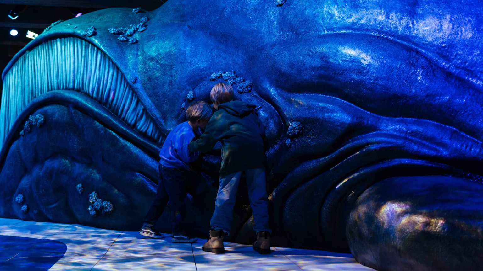 Tentoonstellingselement Walvis over duurzame oceanen en bescherming van walvissen