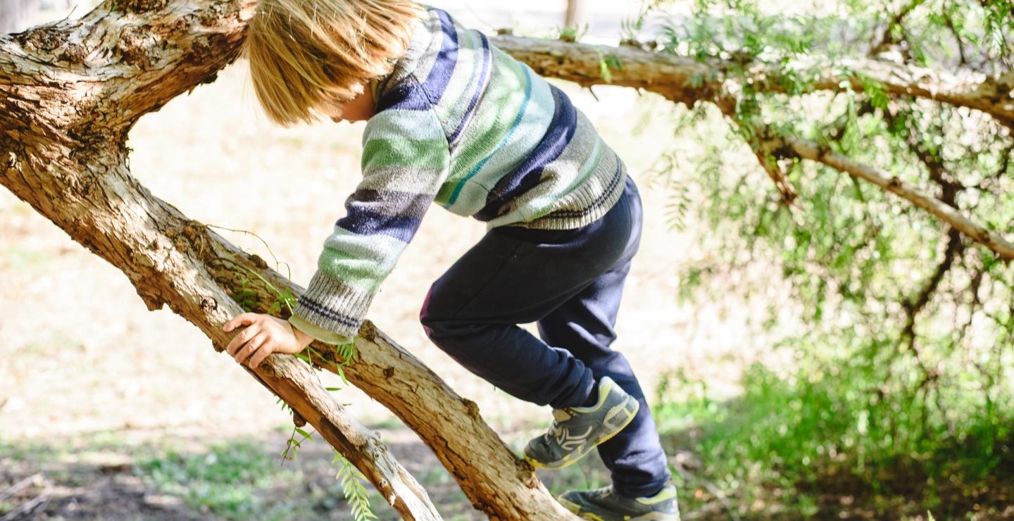 Kind klimt op de takken van een boom