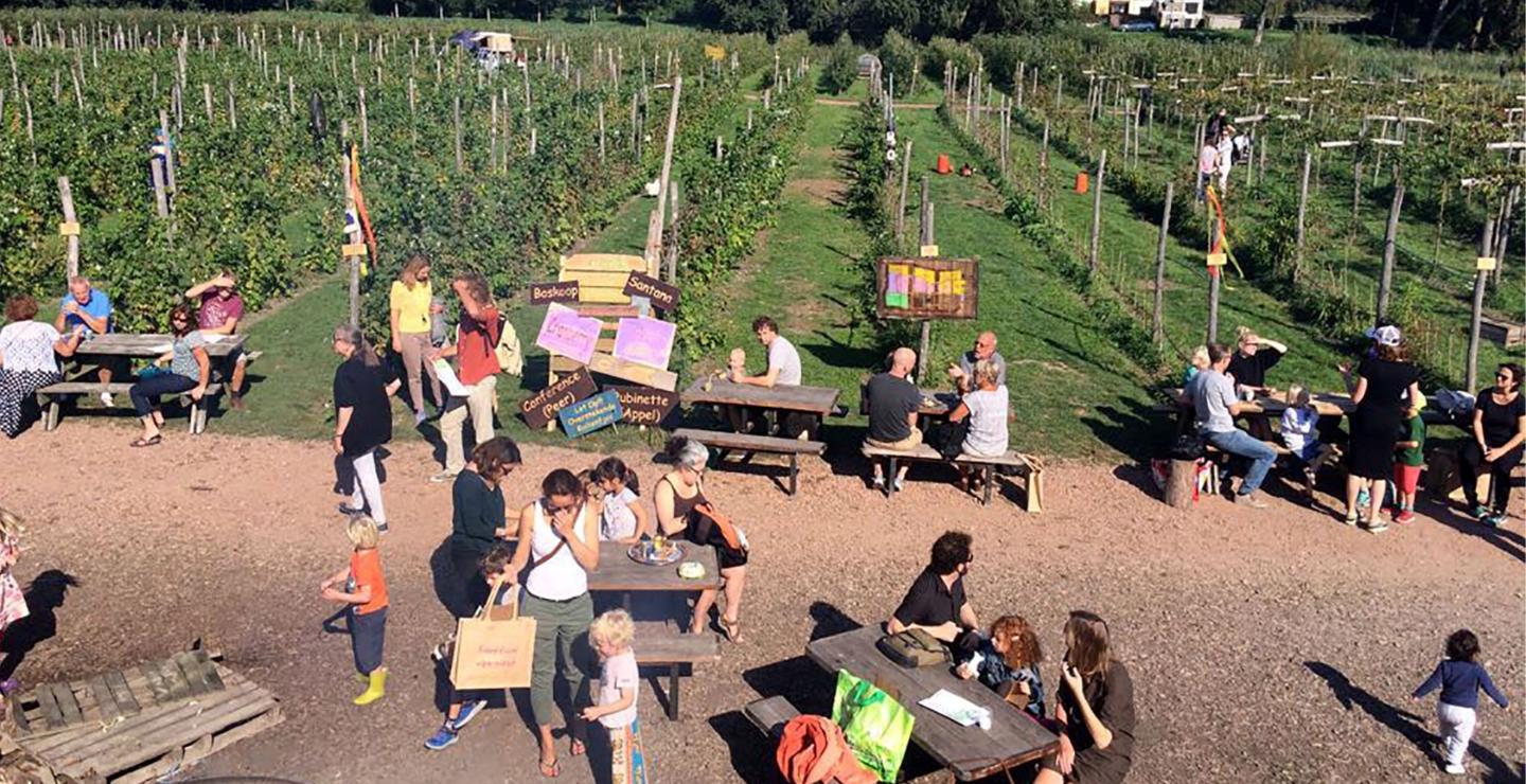 Gezinnen lopen in de Fruittuin van West in Amsterdam